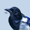 ヱビスビール党のぴかぴか