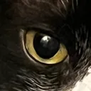 うり