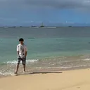 めだか