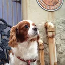 カメラのりょうさん📷✨