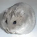 わびさび