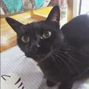 ルナ