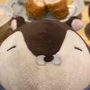 雑炊