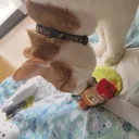 ゆぴんこす