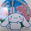 プチ川崎たん