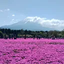 わたく