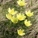 ハリー・ジョン