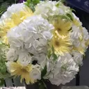 結城薫