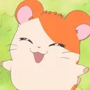 にゃんみき