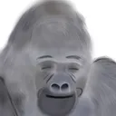 キャミー
