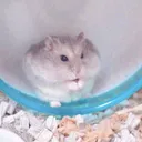 みやたさんち@なの