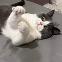 べぷ