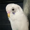 しょん