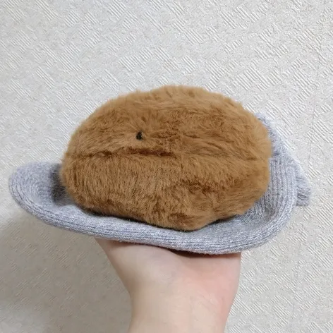 ほぼヒト