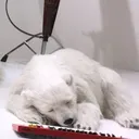 ナナキ