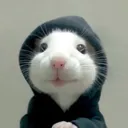 アルたまちゃん