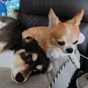 かずは(はじめ)