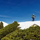 ᴺᴬᶜᴴᴵᴷᴼ🐾