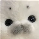 ご機嫌