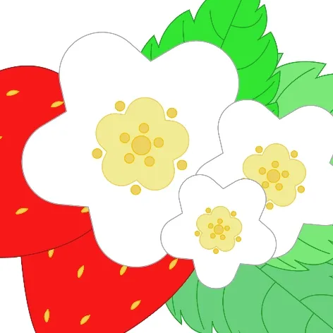 いちご