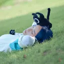 裏(ura)