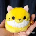 ぽきちゅね🦊