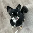 ぼた子
