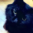 チカ