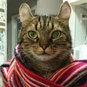 ぽてちん