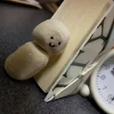 紅しょうが