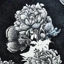 松浦 蜜柑 Mikan Matsuura