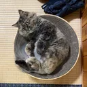 きりざき（ぞ）