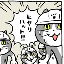 おけい