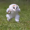 ひすとり