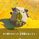 ナッシュカッツェ
