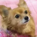りおんぬ大先生