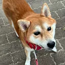 あとら