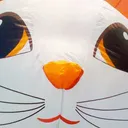 penguin_19