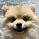 クレイ
