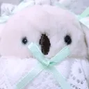 🌱大根惑星🌱