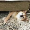 やなせ