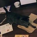 碧