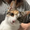 ナイトメア