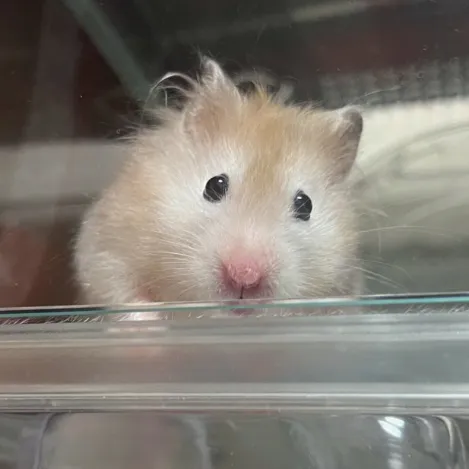 さちた(母)withあにま