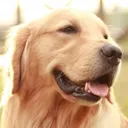 うまゆう🐈‍⬛🐾