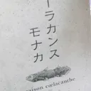 お馬🐴