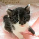 としあき
