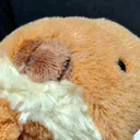 チエコ
