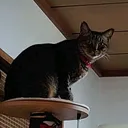 タカヒロ