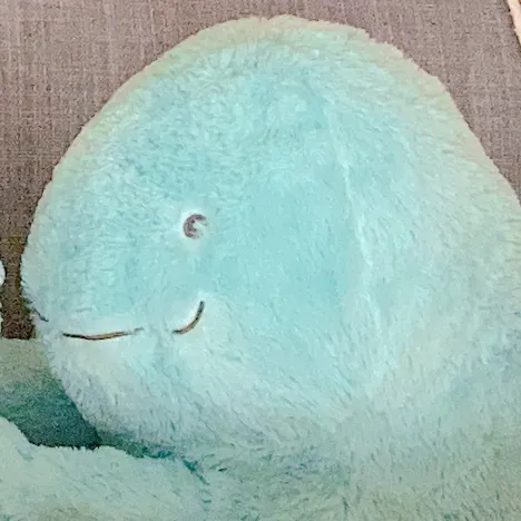 うぉり